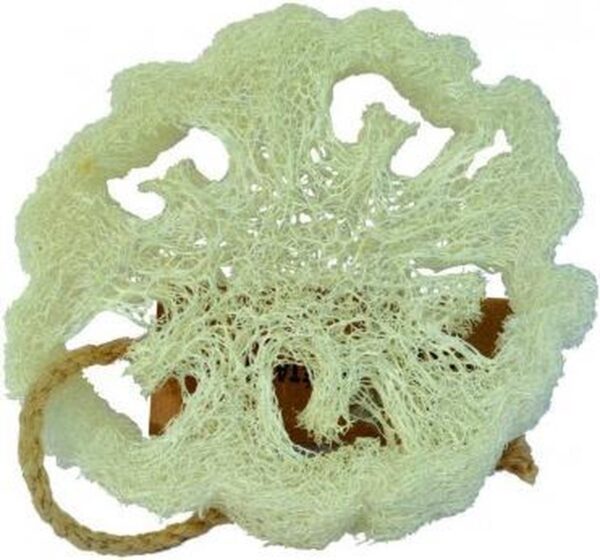 1200x1119-14.jpg