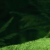 1200x337-1.jpg
