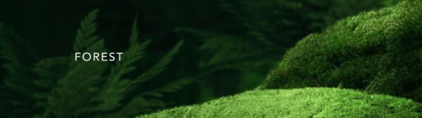 1200x337-1.jpg