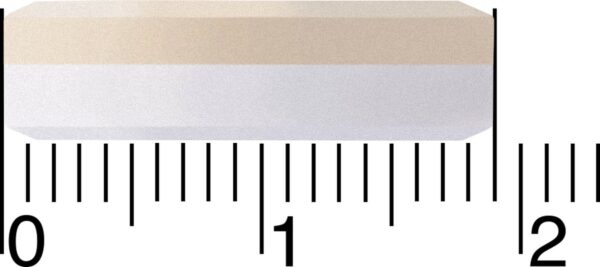 1200x533.jpg