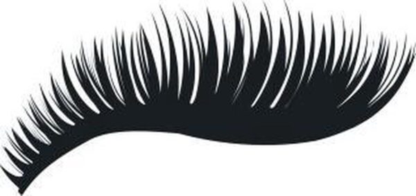 1200x566-5.jpg