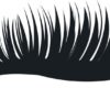 1200x570-4.jpg