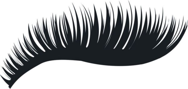 1200x570-4.jpg