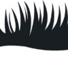 1200x571-2.jpg