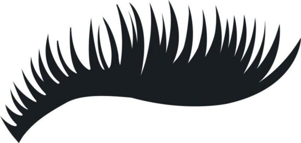 1200x571-2.jpg
