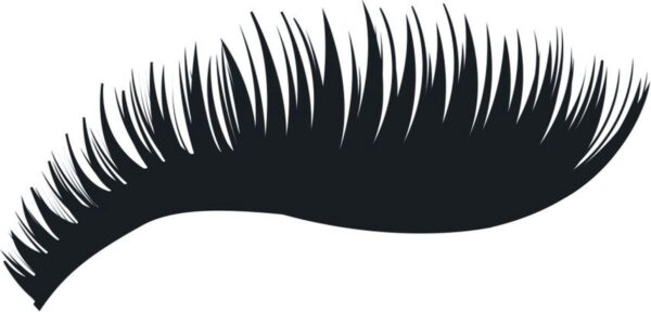 1200x575-8.jpg