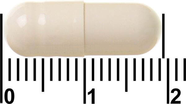 1200x671-6.jpg
