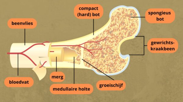 1200x672-4.jpg