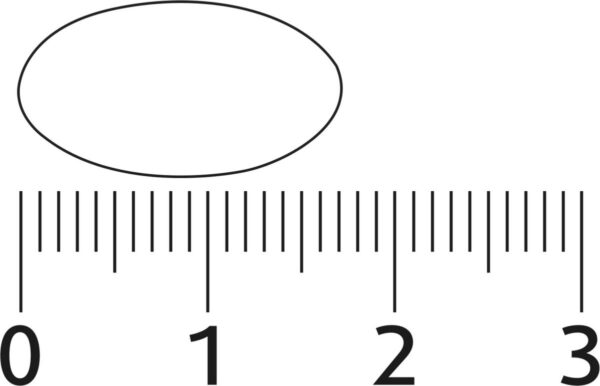 1200x771-14.jpg