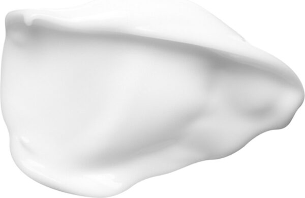 1200x778-2.jpg
