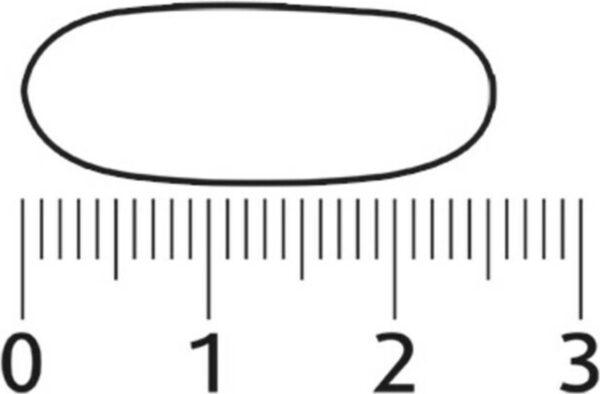 1200x788-10.jpg