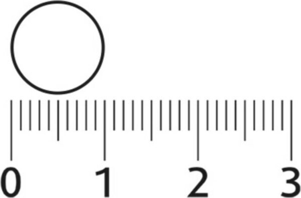 1200x790-6.jpg