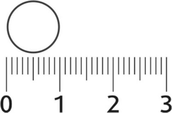 1200x790-7.jpg