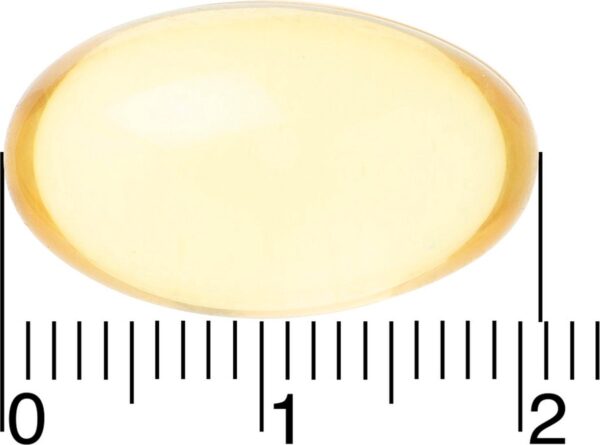 1200x889-5.jpg