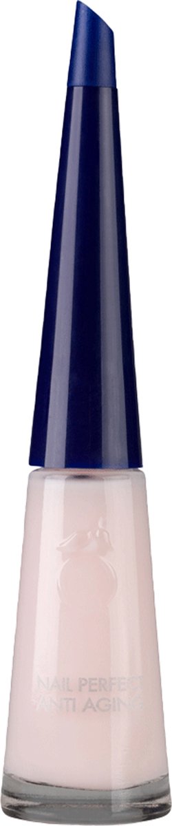 250x1200-7.jpg