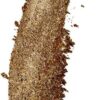 379x1200-9.jpg