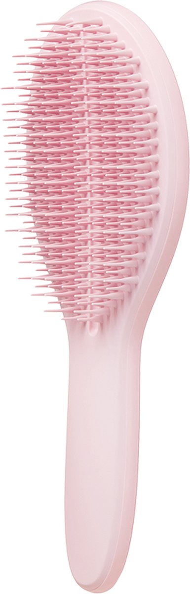 385x1200-21.jpg