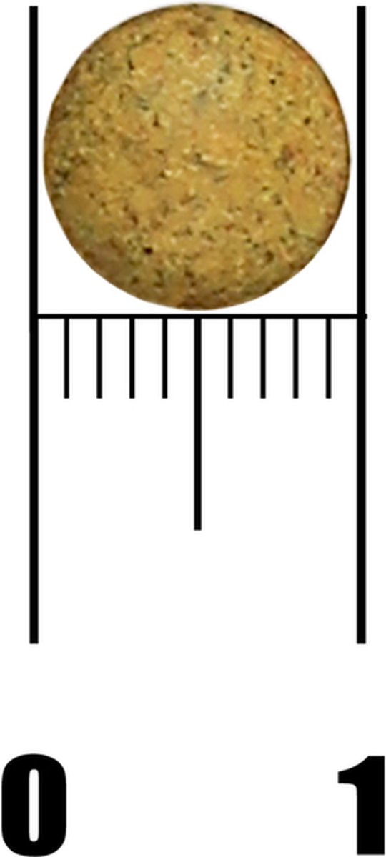 540x1200-35.jpg