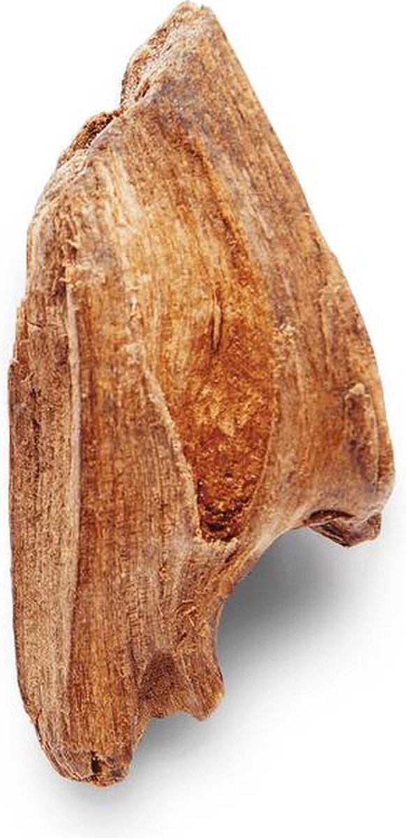 582x1200-12.jpg